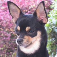 Nancy Clites's profile image
