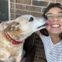 Jennifer Rivas's profile image