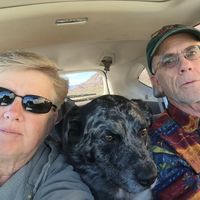 Jill Leonard's profile image