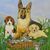 Cynthia Janeway Sheffield's profile image
