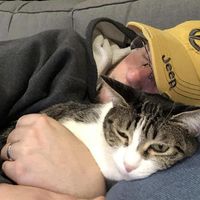 Jason Cole's profile image