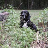 Bob Galbreath's profile image