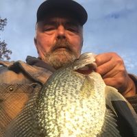 Alan Morgan's profile image