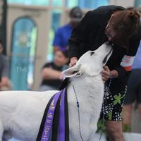Tina Leach Jackson's profile image
