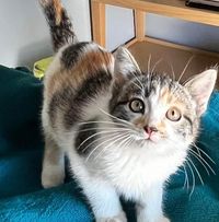 Tabitha Spencer's profile image