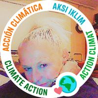 Debra Brocato's profile image