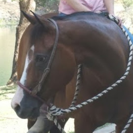 PJ Peralta's profile image