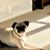Mishelle H.'s profile image