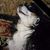 Patricia Diane Siveny's profile image
