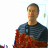 Bill W.'s profile image