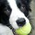 Terrie Vaughan's profile image