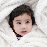 Shobha Gollapudi's profile image