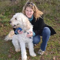 Mary Ellen Callaway's profile image