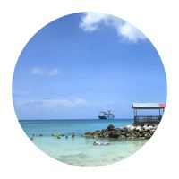 Dawn Drew Hurst's profile image