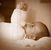Blanca Laura's profile image