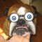 James L.'s profile image