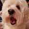 Jules K.'s profile image