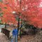 Sandeep P.'s profile image