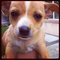 Sophie M.'s profile image