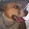 Joanie S.'s profile image