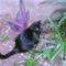 Maite ..'s profile image