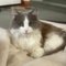 Melissa C.'s profile image
