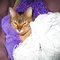 Jenny M.'s profile image