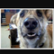 George L.'s profile image