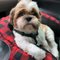Melly M.'s profile image