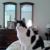 Cookie Wri's profile image