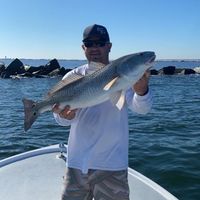 Dale Cropley's profile image