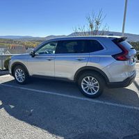 Susan Lantz Lupton's profile image