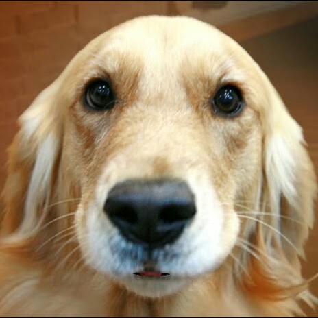Keith Bruecker's profile image