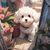 Jenny Hughey's profile image