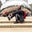 Sultan Alsharif's profile image