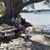 Stephanie Orwig's profile image