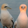 Kevin's profile image