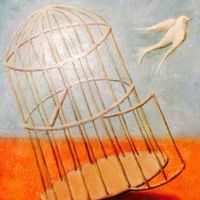 Blanca Reyes's profile image