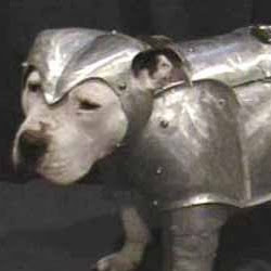 Michael VandeVenter's profile image