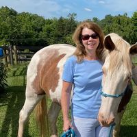 Nancy Stratton's profile image