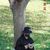 Jamir Bryn's profile image