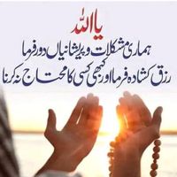 Fazal Mabood's profile image