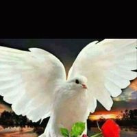 Riya Rana's profile image