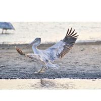 Abdulqader Alhamed's profile image