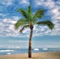 Michelle Powderly's profile image