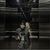 Antonina Greene's profile image