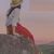 Mary M. Jackson's profile image