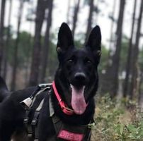 Melissa Frye's profile image