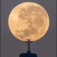 Debra Welton Steighner's profile image
