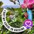 Melissa N. Mott's profile image